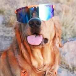 Pit Vipers “The Crush” Polarized Double Wide Blue Revo -Garden Tools Store crush originals 1 lifestyle 1080 x1080